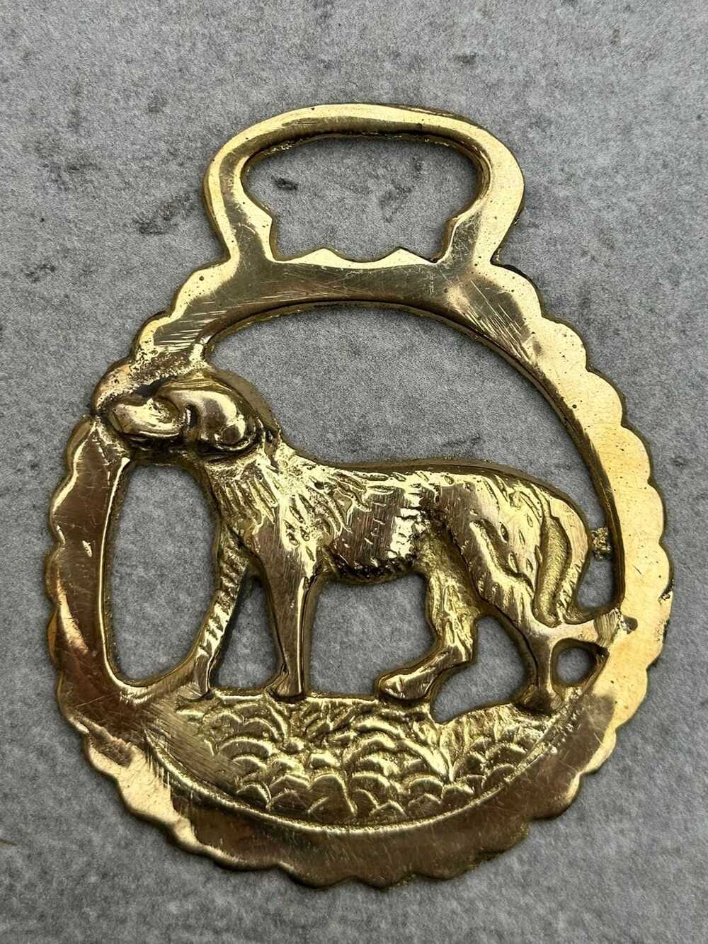 Vintage Solid Brass Horse Brass Featuring Sporting Hound | Equestrian Decor